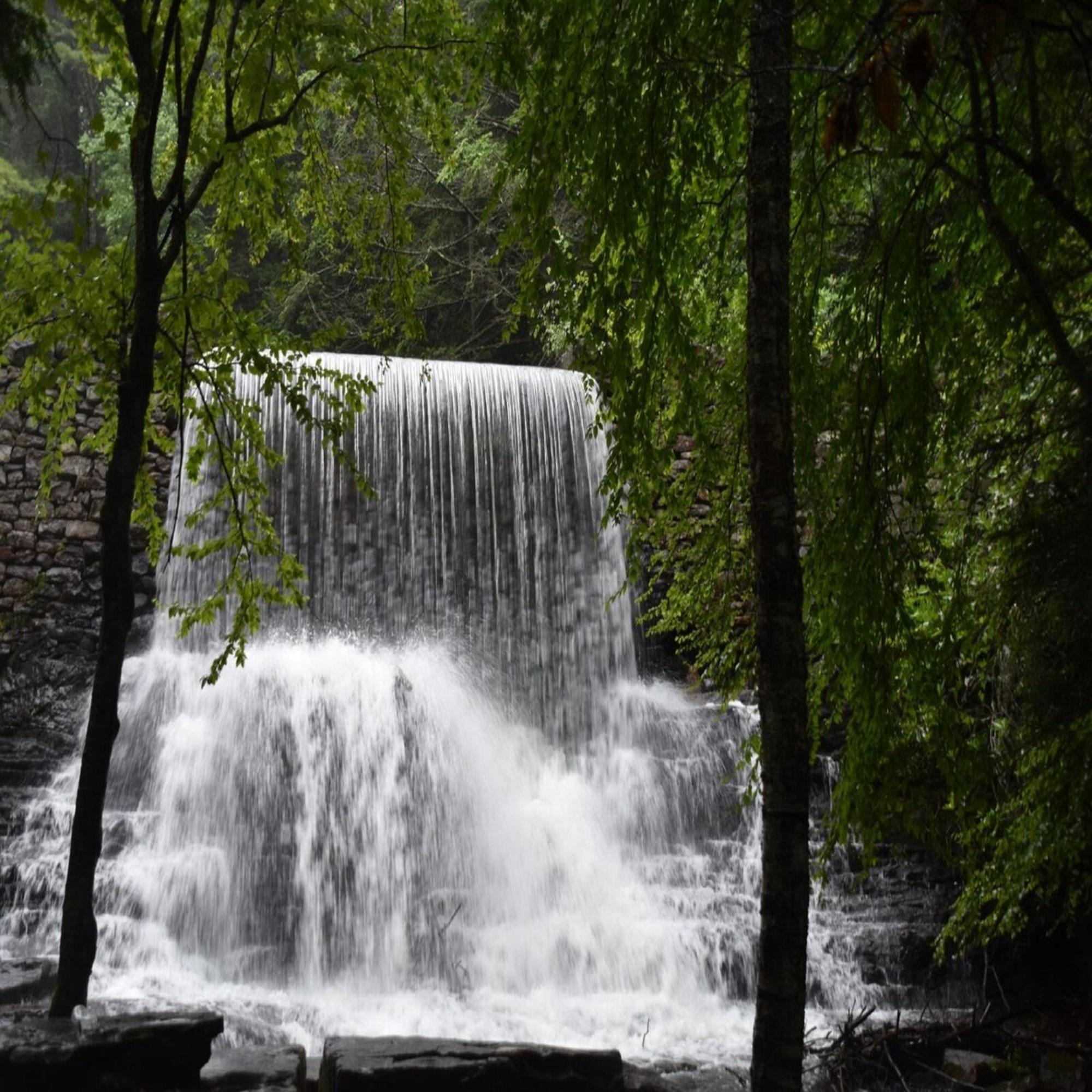 Camptel Poconos Lodging Albrightsville Εξωτερικό φωτογραφία